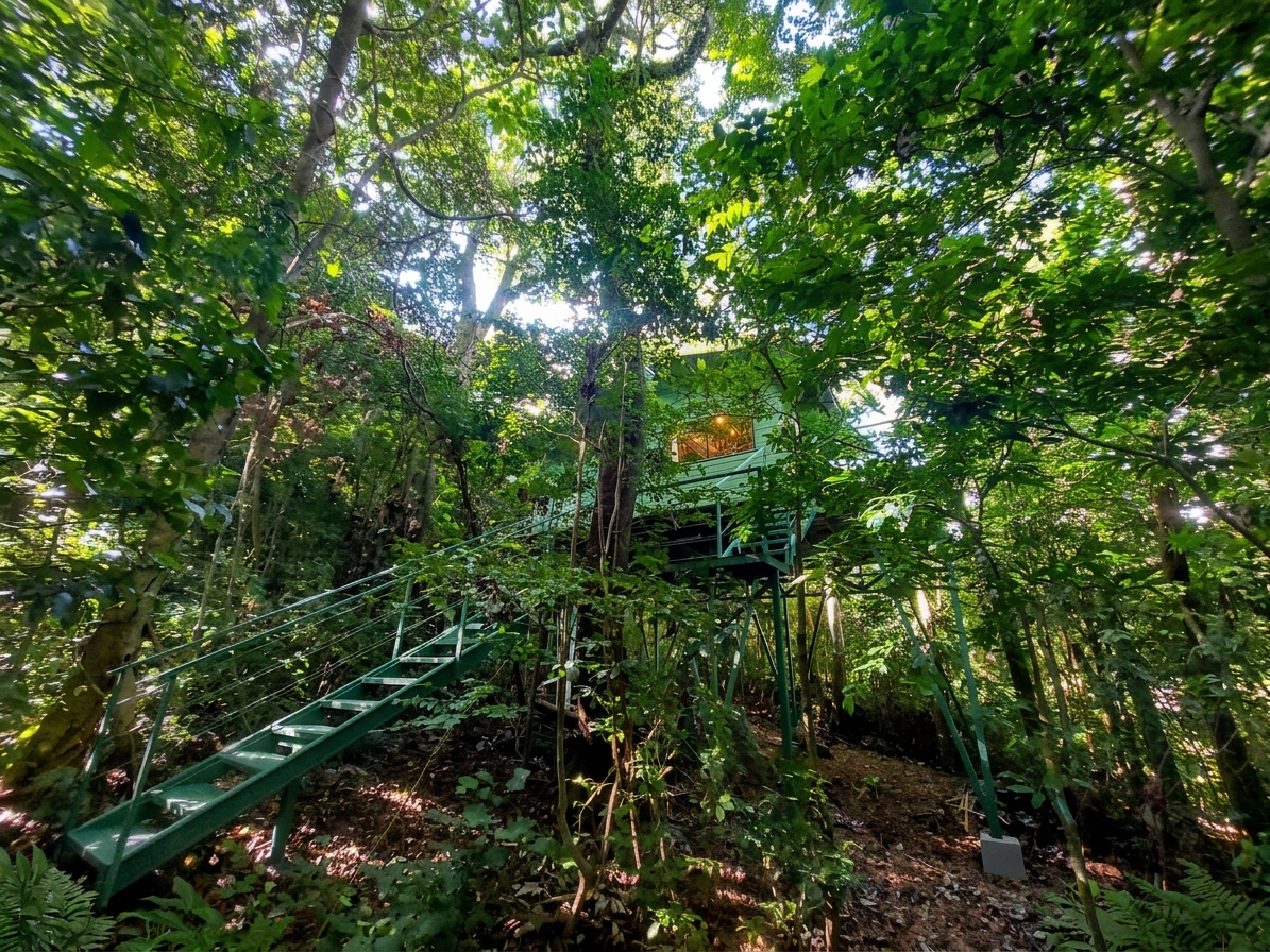 Capuchin Tree House